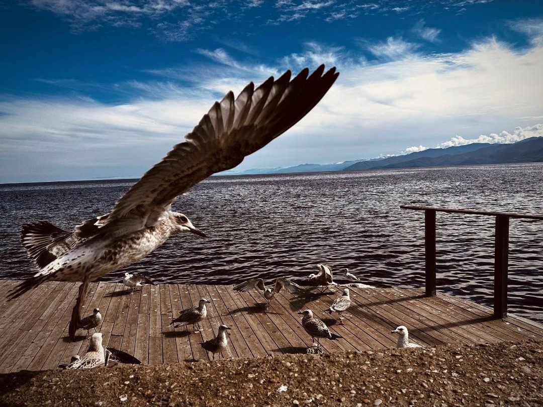 Мобильная фотография — кадр 1
