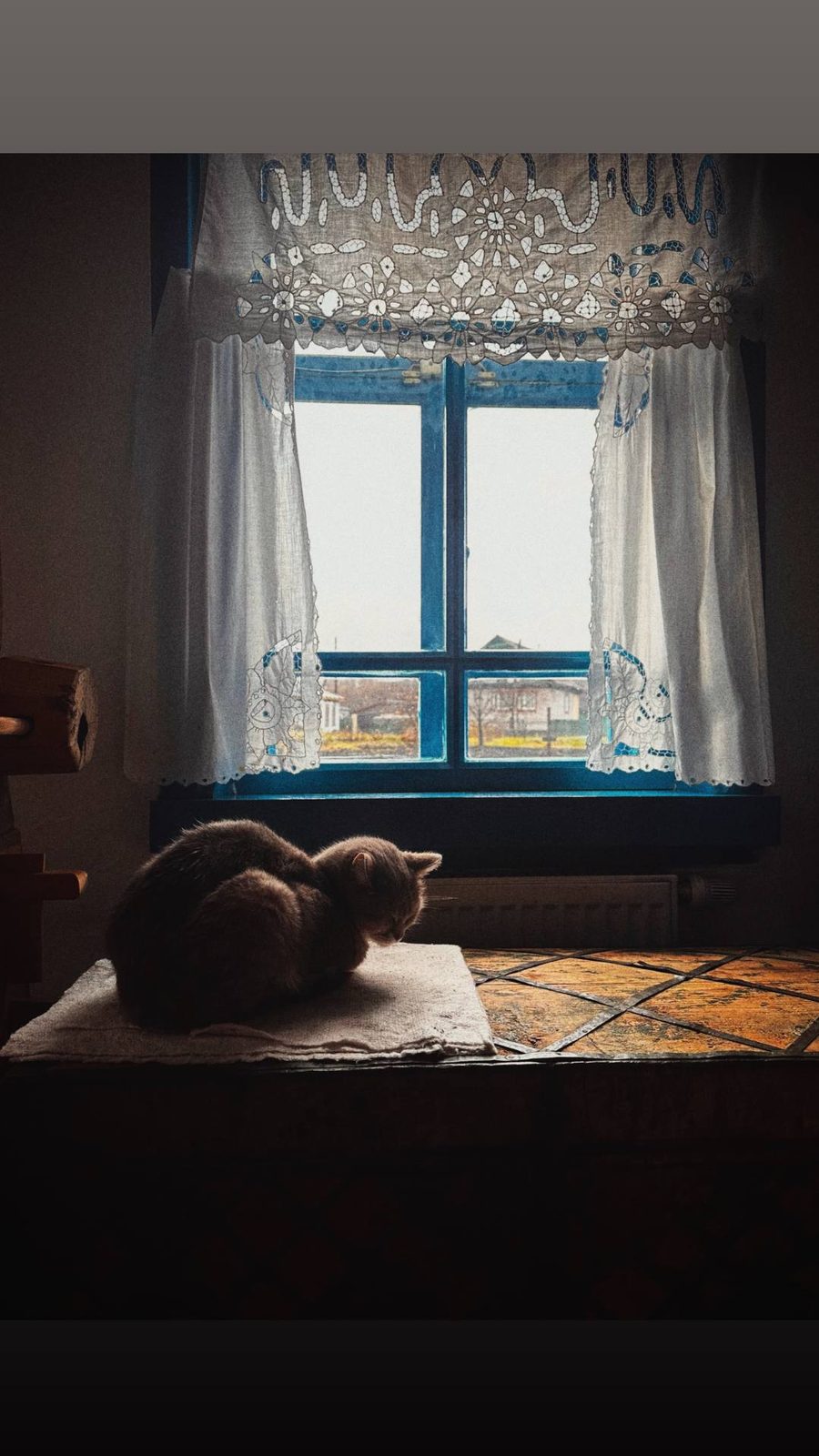 Мобильная фотография — кадр 29